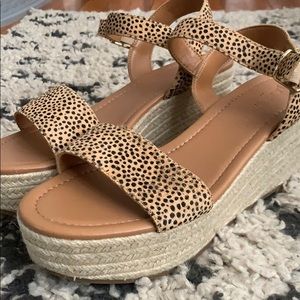 Cheetah Wedges